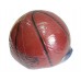 Баскетбольный мяч DFC BALL7P 7 ПВХ